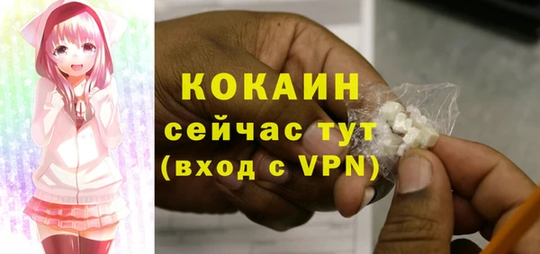 шишки Заволжск