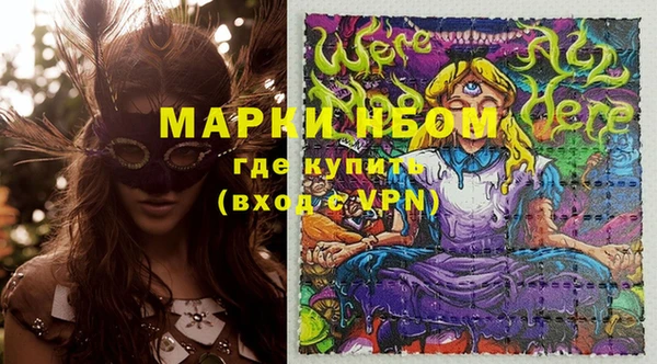 шишки Заволжск