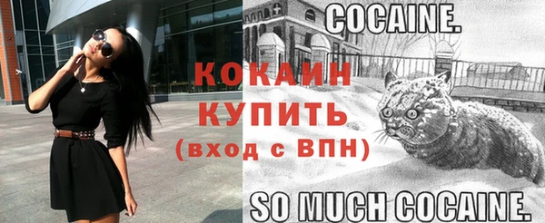 шишки Заволжск