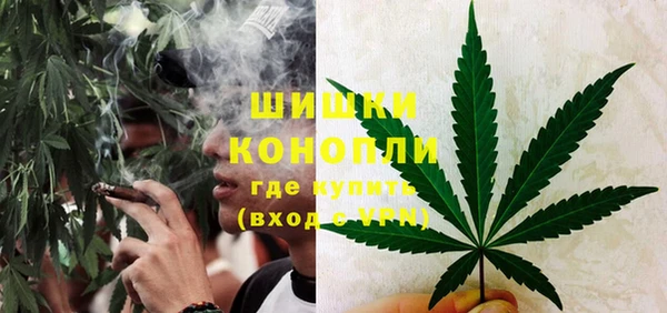 шишки Заволжск