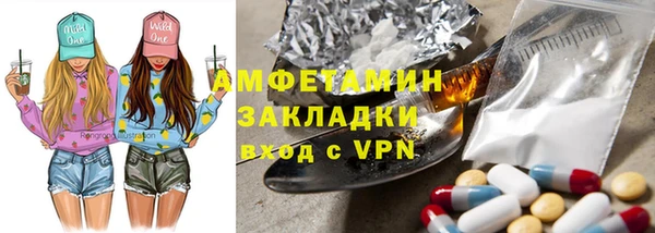шишки Заволжск
