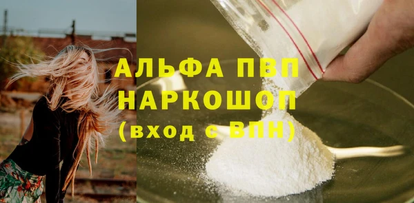 шишки Заволжск
