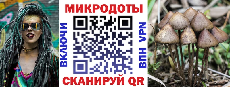 Купить  Катав-Ивановск  Галлюциногенные грибы Magic Shrooms 